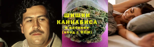 крисы Няндома