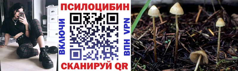 Галлюциногенные грибы мицелий  Рудня 